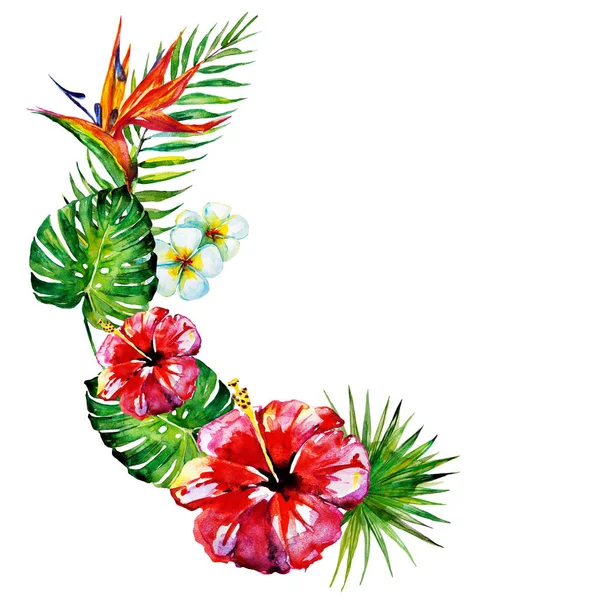 güzel kırmızı çiçekler, palmiye yaprakları, beyaz üzerine suluboya