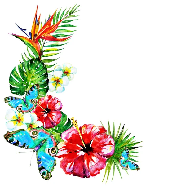 güzel kırmızı çiçekler, palmiye yaprakları, beyaz üzerine suluboya