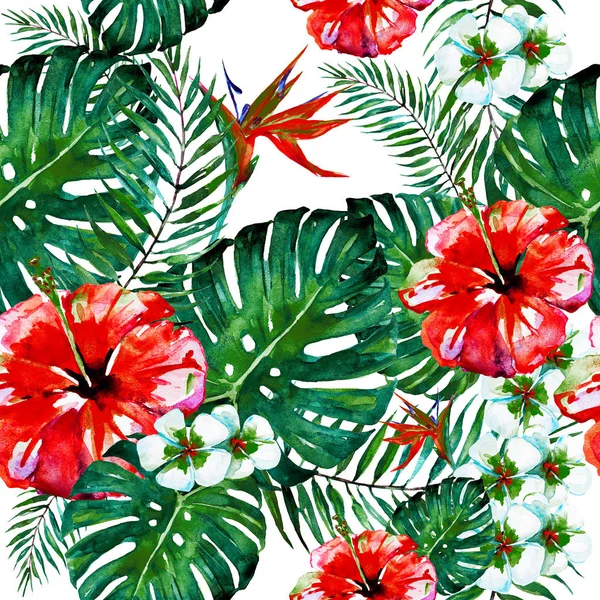 美丽的红花 棕榈叶 水彩白色 — 图库照片