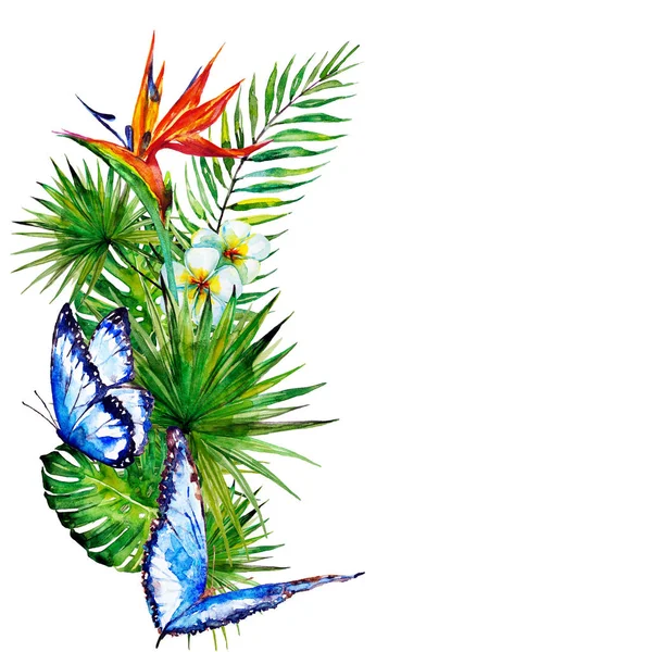 güzel tropikal palmiye yaprakları ve çiçekleri, suluboya