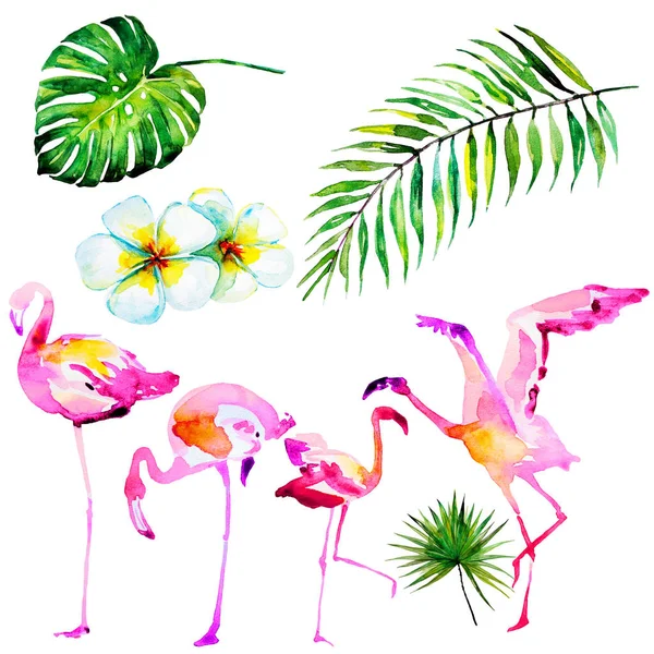 Schöne Tropische Palmenblätter Und Flamingo Aquarell Illustration — Stockfoto