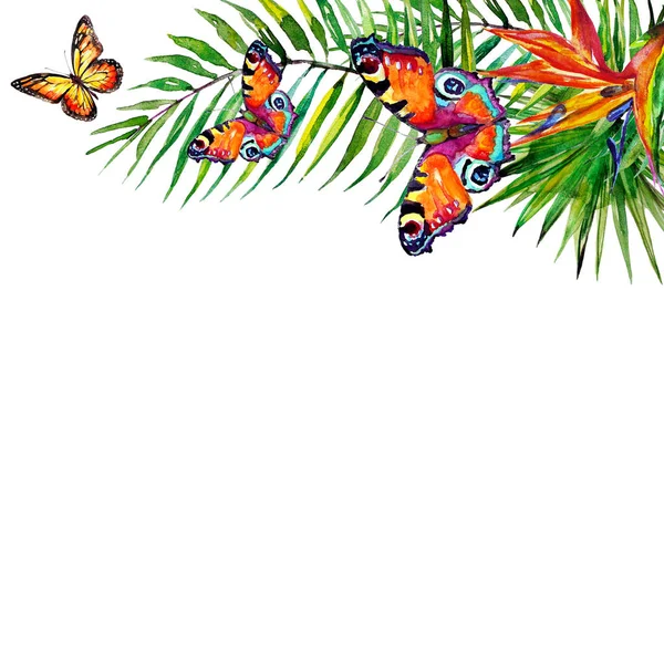 güzel tropikal palmiye yaprakları ve çiçekleri, suluboya