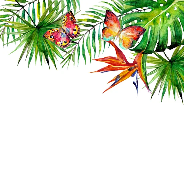 güzel tropikal palmiye yaprakları ve çiçekleri, suluboya