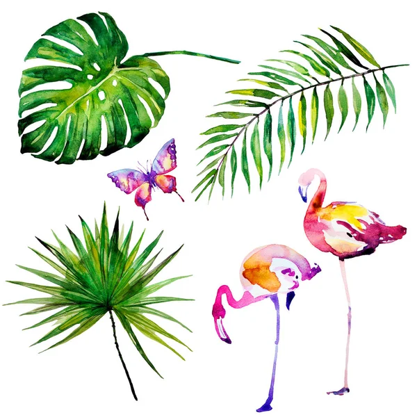 Güzel Pembe Flamingo Egzotik Çiçekler Palmiye Yaprakları Suluboya — Stok fotoğraf
