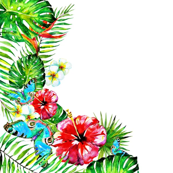 güzel kırmızı çiçekler, palmiye yaprakları, beyaz üzerine suluboya