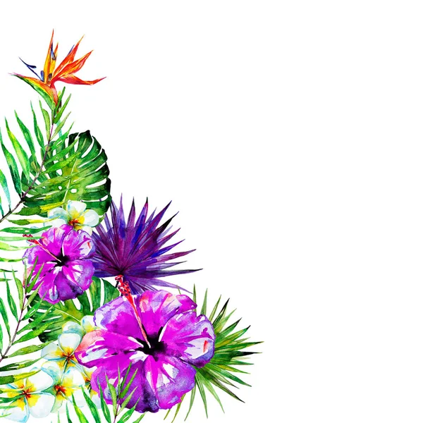 güzel mor çiçekler, palmiye yaprakları, beyaz üzerine suluboya