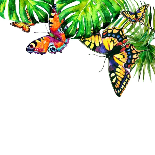 Hawaiian çiçekler, kelebekler, suluboya, egzotik bitkiler, beyaz izole