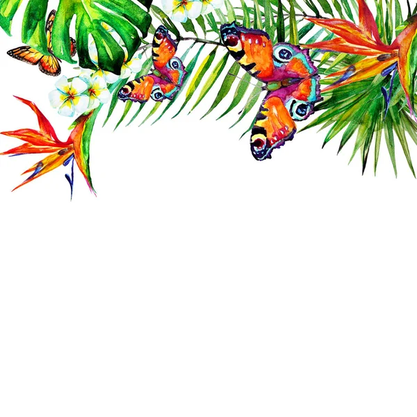 Fiori Hawaiani Farfalle Acquerello Piante Esotiche Isolate Bianco — Foto Stock