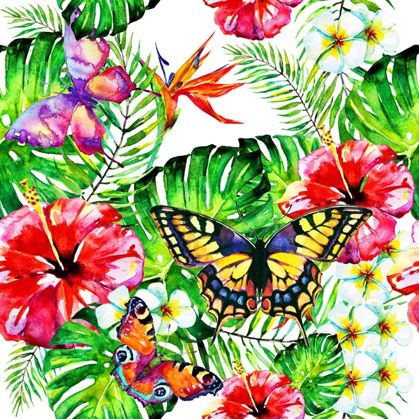 Fleurs Hawaïennes Papillons Aquarelle Plantes Exotiques Isolées Sur Blanc — Photo