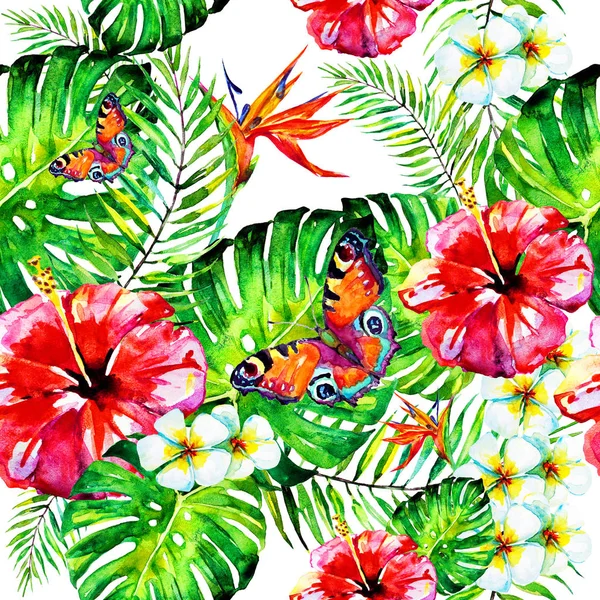 Flores Hawaianas Mariposas Acuarela Plantas Exóticas Aisladas Blanco —  Fotos de Stock
