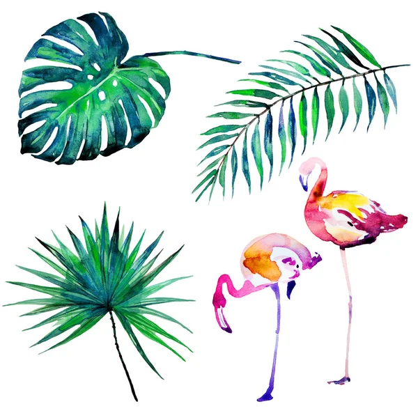 Krásné Tropické Palmové Listy Flamingo Akvarel Ilustrace — Stock fotografie
