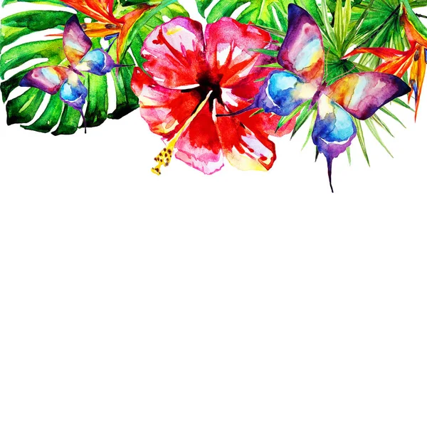 Hawaiian çiçek, egzotik bitkiler, beyaz izole