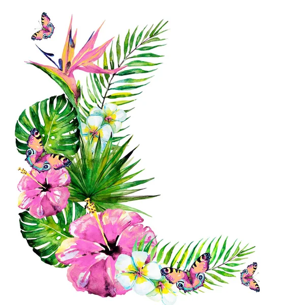 Hawaiian Flowers Butterflies Watercolor Exotic Plants Isolated White — Stock Photo, Image