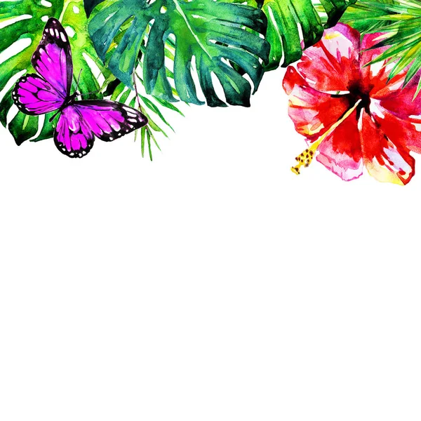 tropikal palmiye ağacı, yapraklar, çiçekler, yaz saati