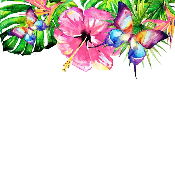 Hawaiian çiçek, egzotik bitkiler, beyaz izole