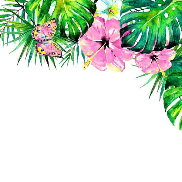 Hawaiian Flowers Butterflies Watercolor Exotic Plants Isolated White — Stock Photo, Image