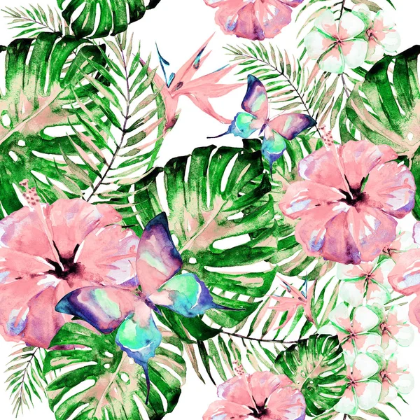 Hawaiian çiçek, egzotik bitkiler, beyaz izole