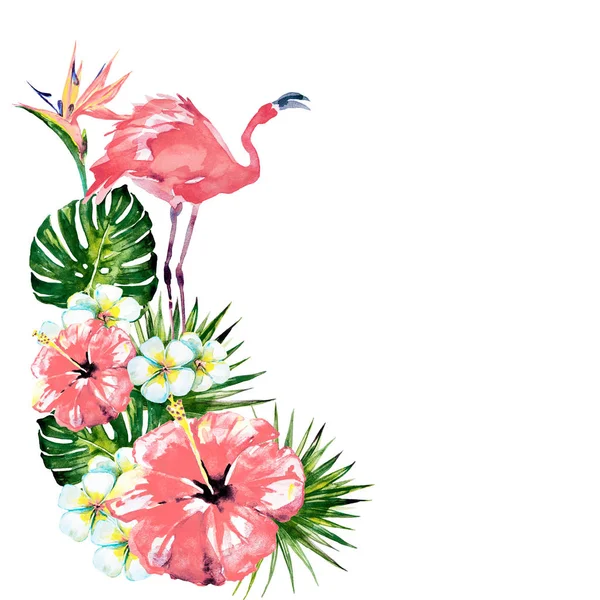 Gyönyörű Rózsaszín Flamingó Egzotikus Virágok Levelek Akvarell Tenyér — Stock Fotó