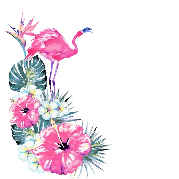 Schöne Rosa Flamingo Und Exotische Blumen Palmblätter Aquarell — Stockfoto