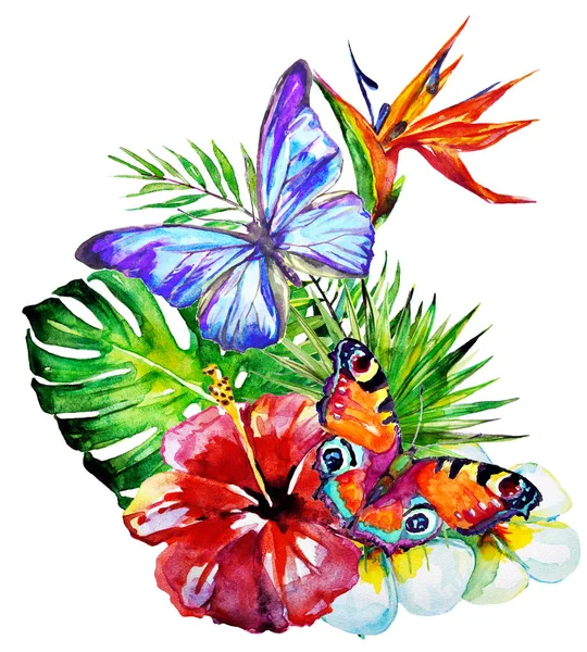 güzel tropikal palmiye yaprakları ve çiçekleri, suluboya