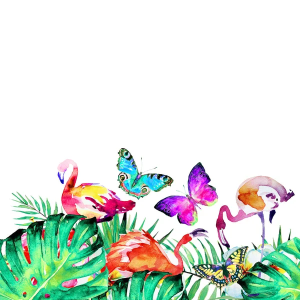 Hawaiianische Blumen Schmetterlinge Aquarelle Exotische Pflanzen Isoliert Auf Einem Weißen — Stockfoto