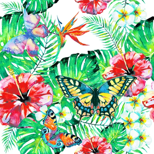 Hawaiian Flowers Butterflies Watercolor Exotic Plants Isolated White — Stock Photo, Image