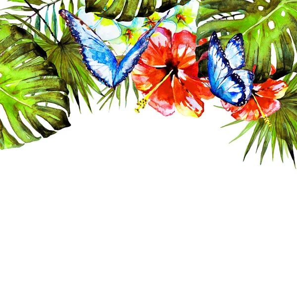 Hawaiian çiçekler, kelebekler, suluboya, egzotik bitkiler, beyaz izole