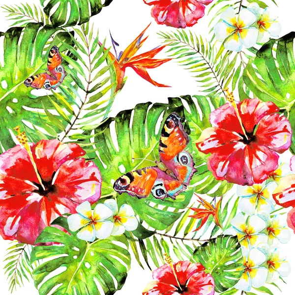 Fiori Hawaiani Farfalle Acquerello Piante Esotiche Isolate Bianco — Foto Stock