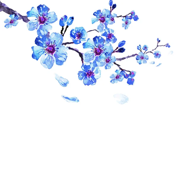 Sakura Träd Akvarell Illustration Cherry Bloom — Stockfoto