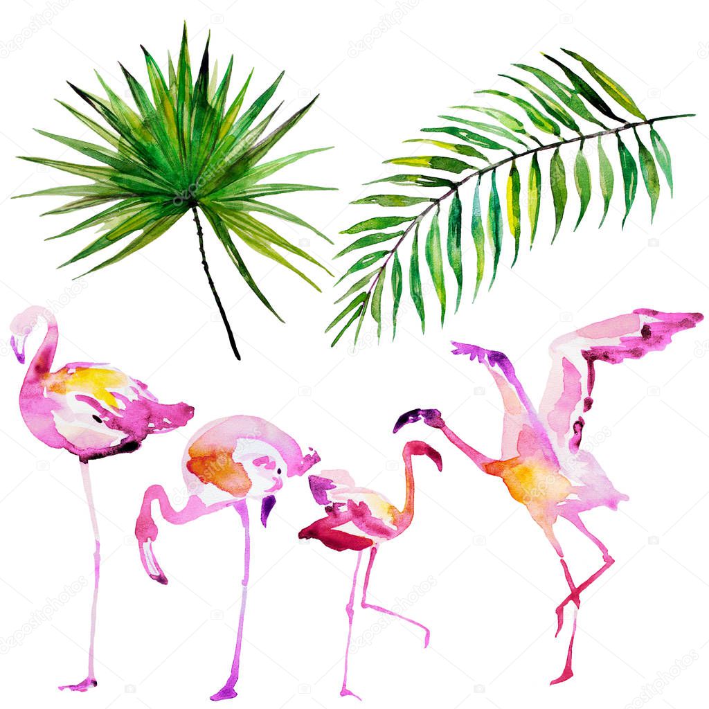 beautiful tropical palm leaves and flamingo, watercolor illustration