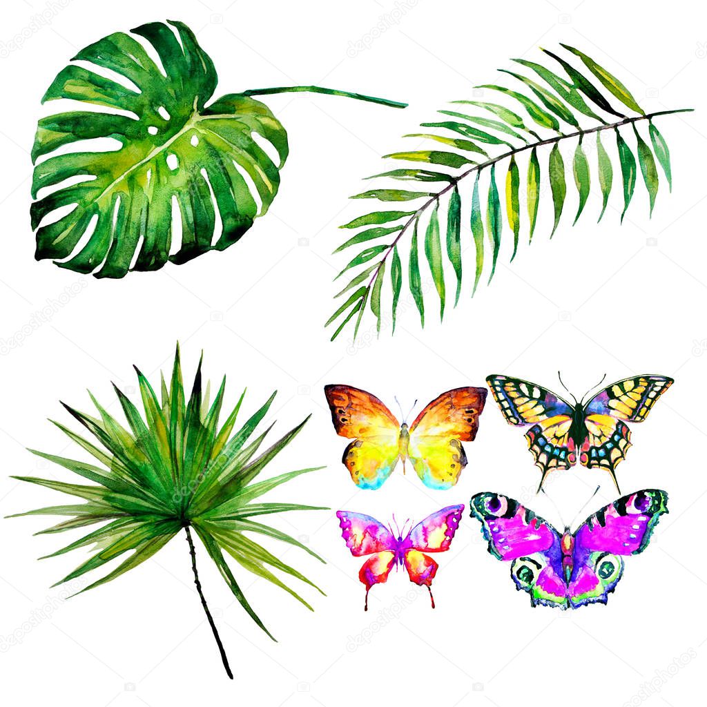 beautiful tropical palm leaves and butterflies, watercolor