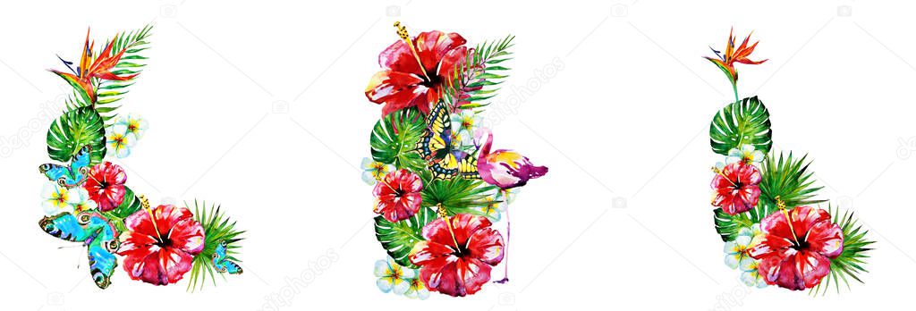 Hawaiian flowers, butterflies, watercolor, exotic plants, isolated on a white