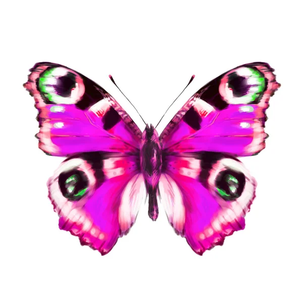 Бабочка Ручной Рисунок Белом — стоковое фото