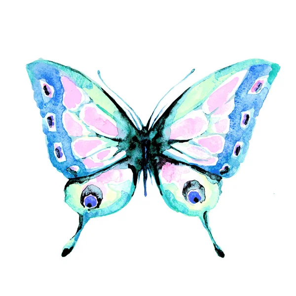 白い背景に 水彩で分離された蝶 — ストック写真