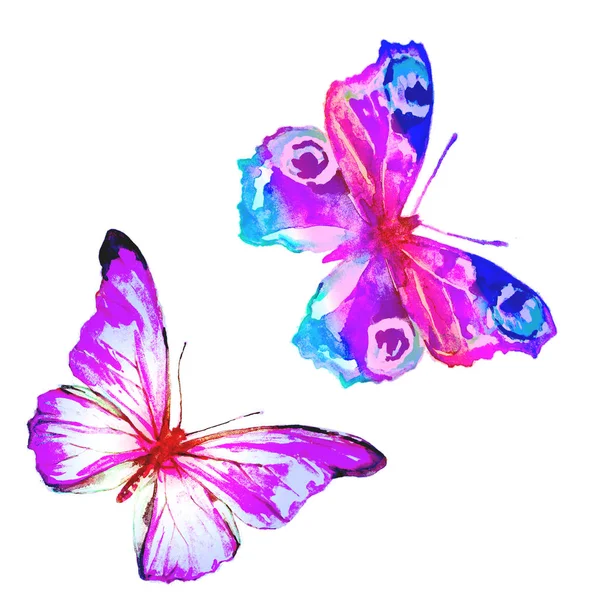 Vlinders Geïsoleerd Een Witte Achtergrond Aquarel — Stockfoto