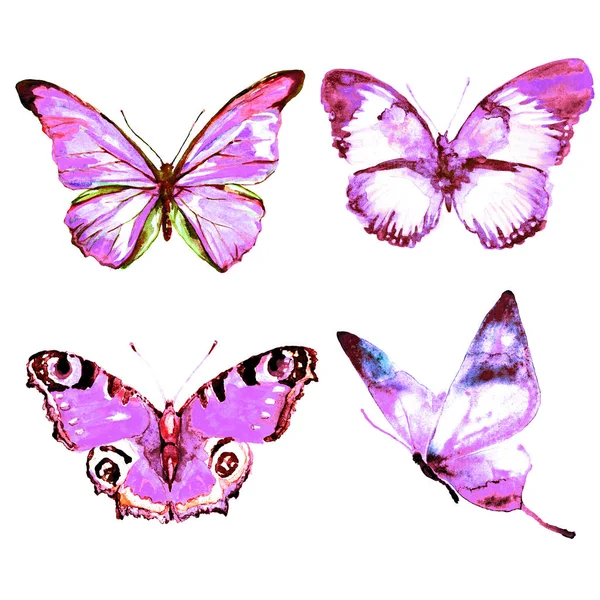 Motýli Izolované Bílém Pozadí Akvarel — Stock fotografie