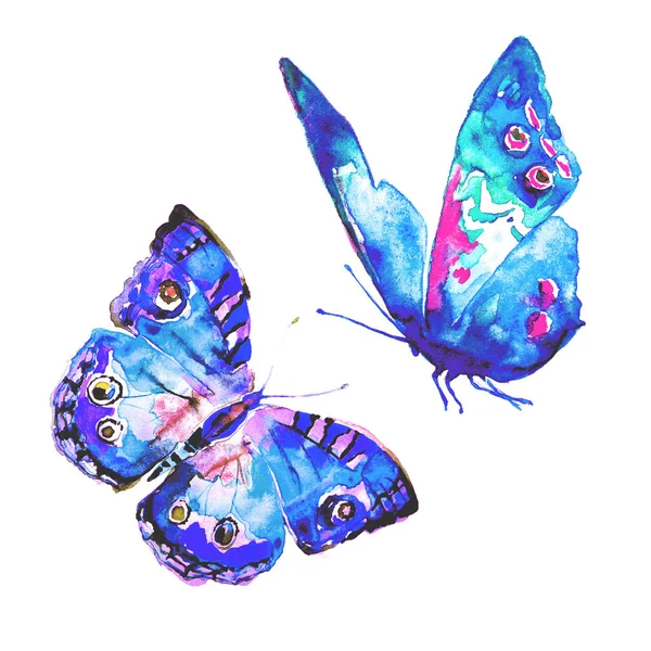白い背景に 水彩で分離された蝶 — ストック写真