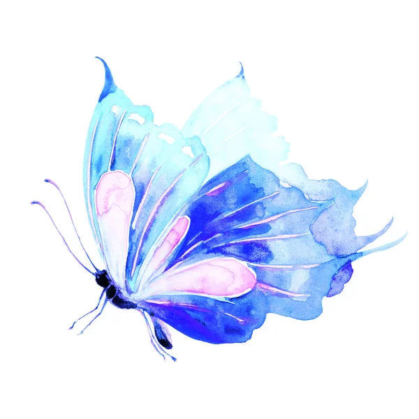 Papillon Isolé Sur Fond Blanc Aquarelle — Photo