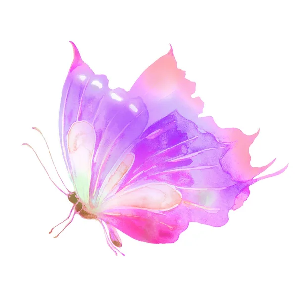 Farfalla Isolata Sfondo Bianco Acquerello — Foto Stock