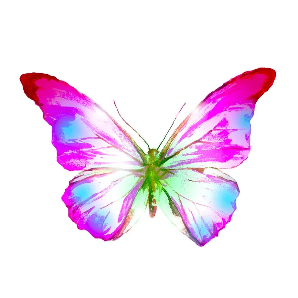 Beyaz Izole Güzel Mavi Kelebek — Stok fotoğraf
