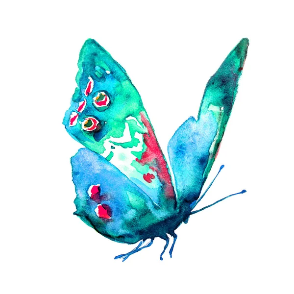 Hermosa Mariposa Azul Aislado Blanco —  Fotos de Stock