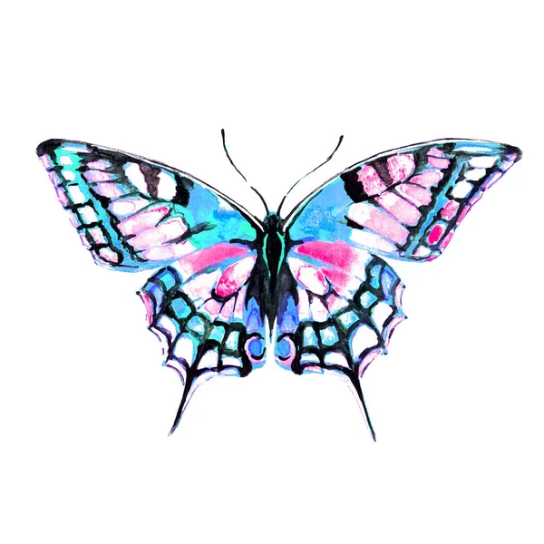 Motýl Izolovaných Bílém Pozadí Akvarel — Stock fotografie
