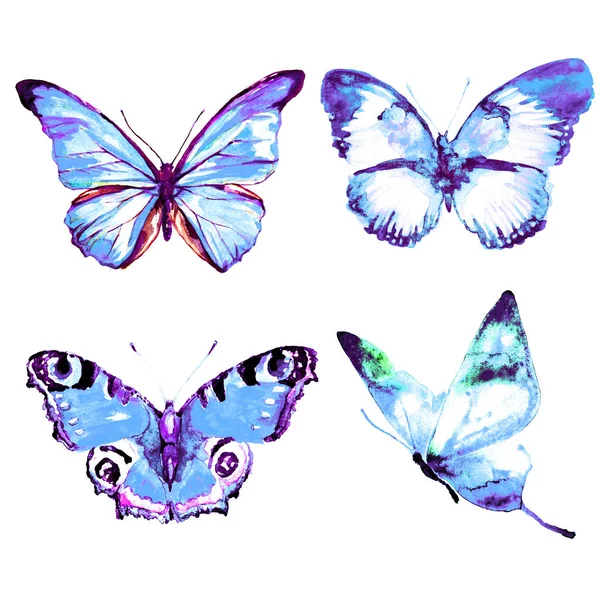 白に青い蝶 — ストック写真