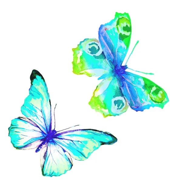 Beautiful Butterflies Watercolor Isolated White — Stock Photo, Image