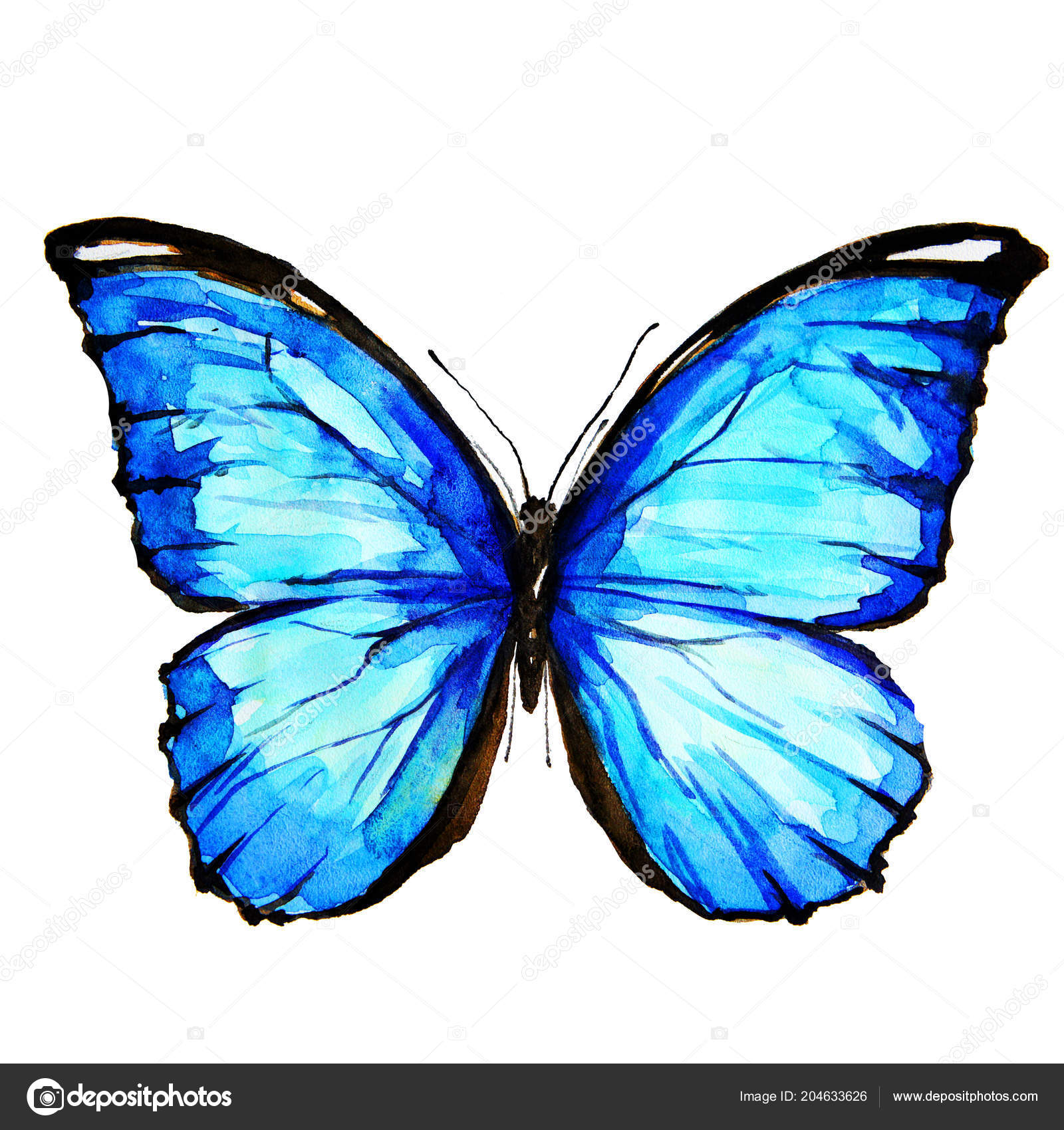 TITLE图库插图© 作者aboard #204633626