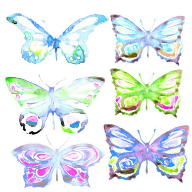 Kelebekler, renk, beyaz izole suluboya, seti,