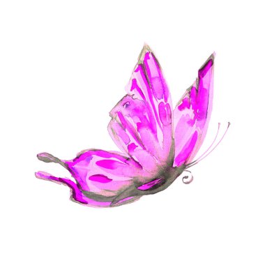 beyaz izole güzel parlak kelebek