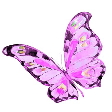 güzel pembe kelebek, suluboya, izole bir beyaz