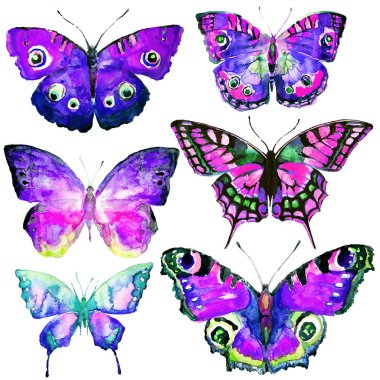 güzel parlak kelebekler, suluboya, izole bir beyaz