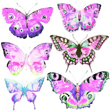 güzel parlak kelebekler, suluboya, izole bir beyaz